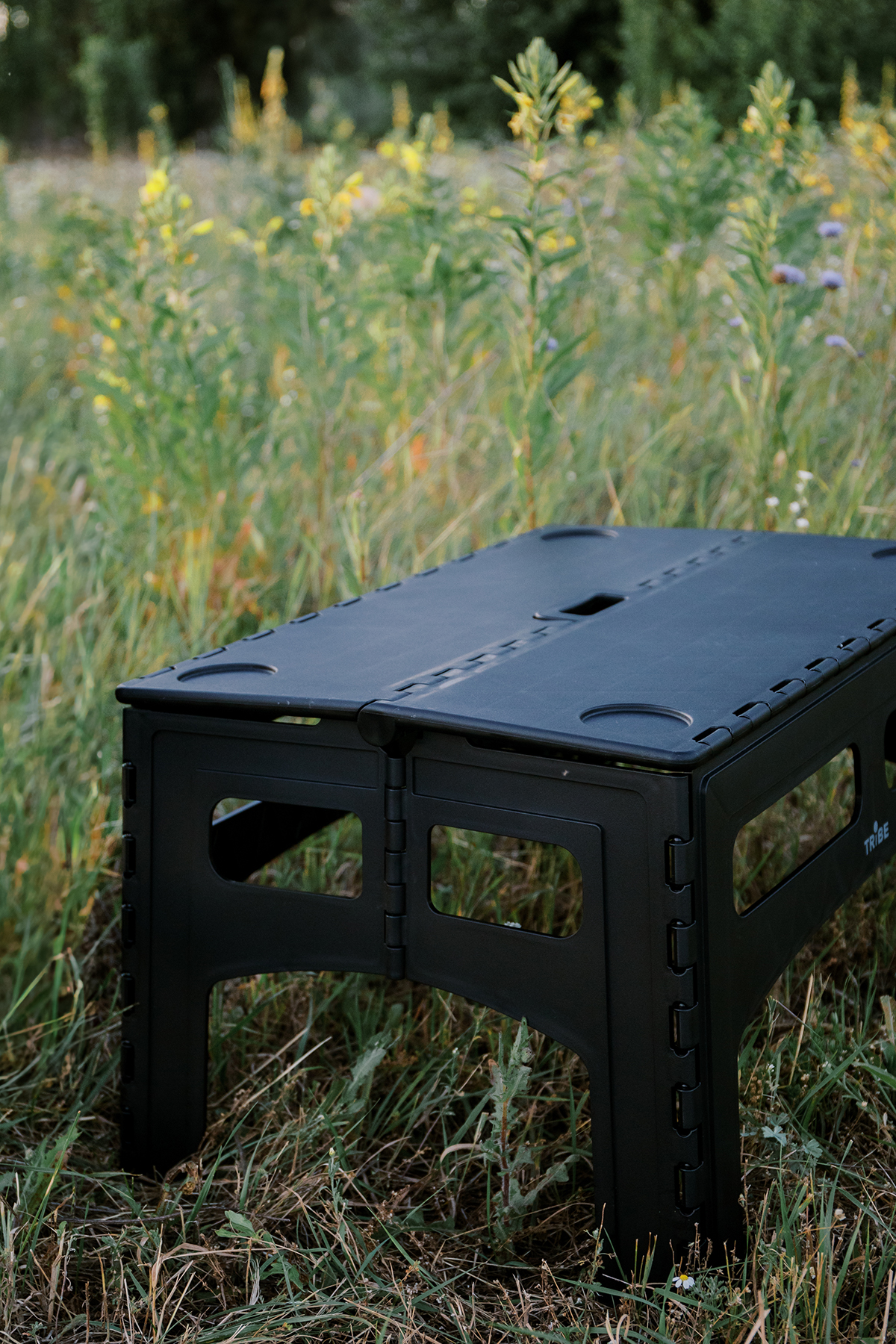 Стіл Tribe Camp Table Low пластиковий T-EF-0003-black фото 3