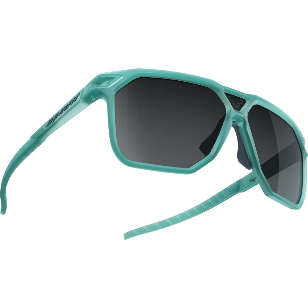 Очки Dynafit Traverse Sunglasses