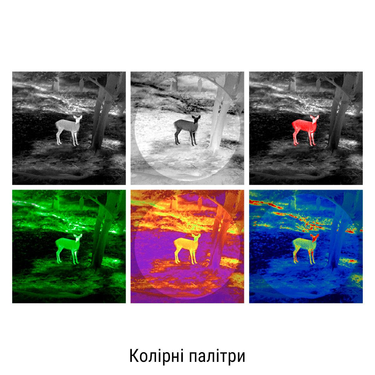  фото 4