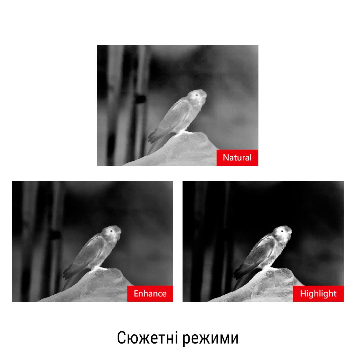  фото 3